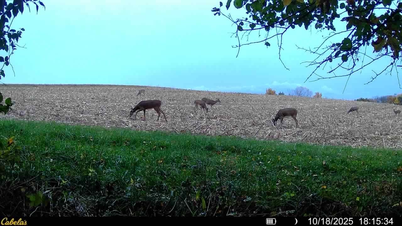 0 Vineyard Road Prairie du Chien, WI 53821 - Photo 38 of 49