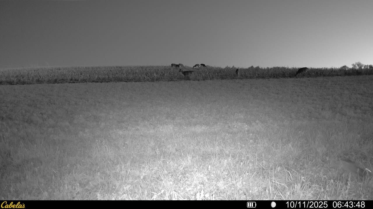 0 Vineyard Road Prairie du Chien, WI 53821 - Photo 47 of 49