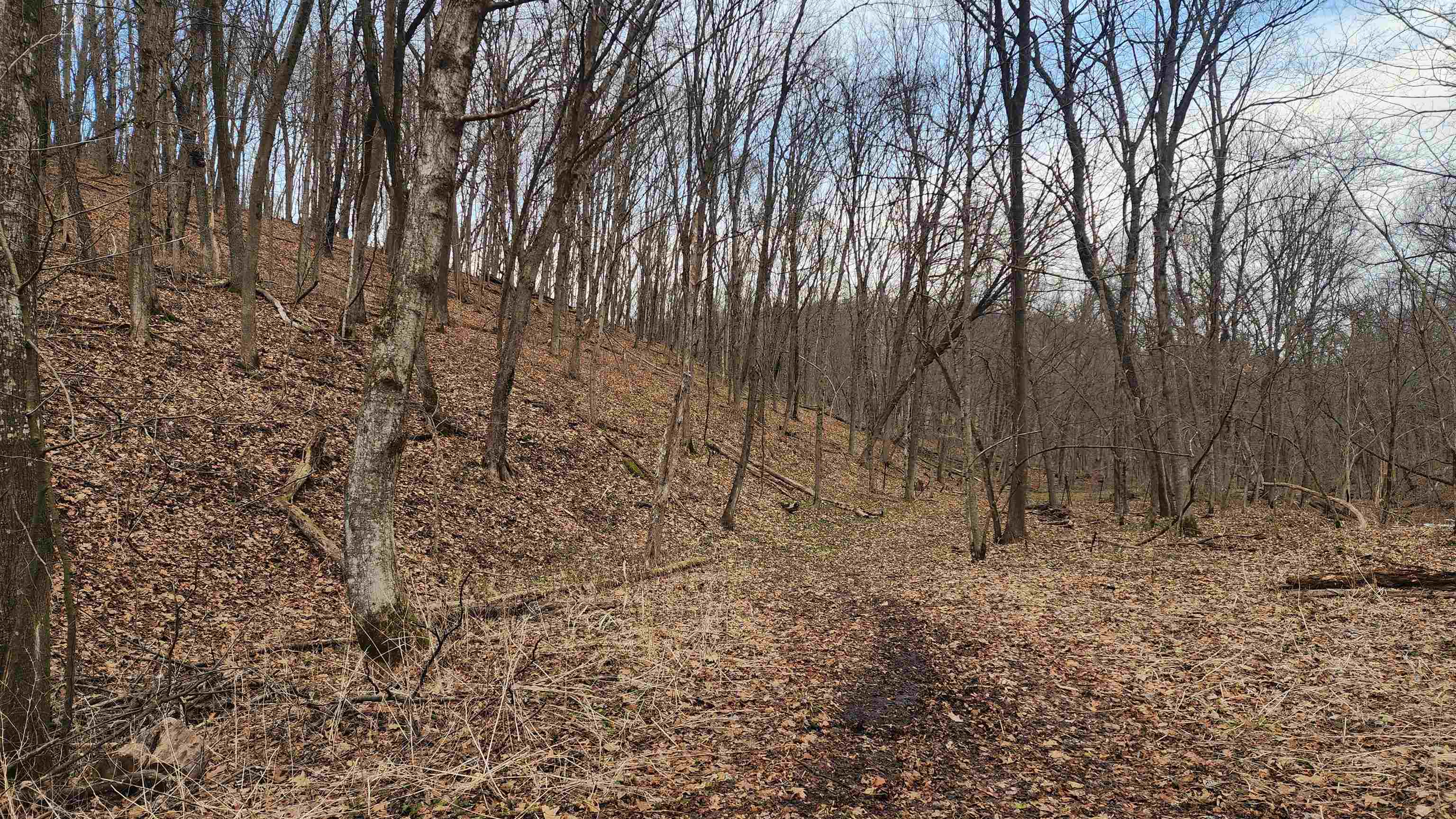 0 Vineyard Road Prairie du Chien, WI 53821 - Photo 6 of 49