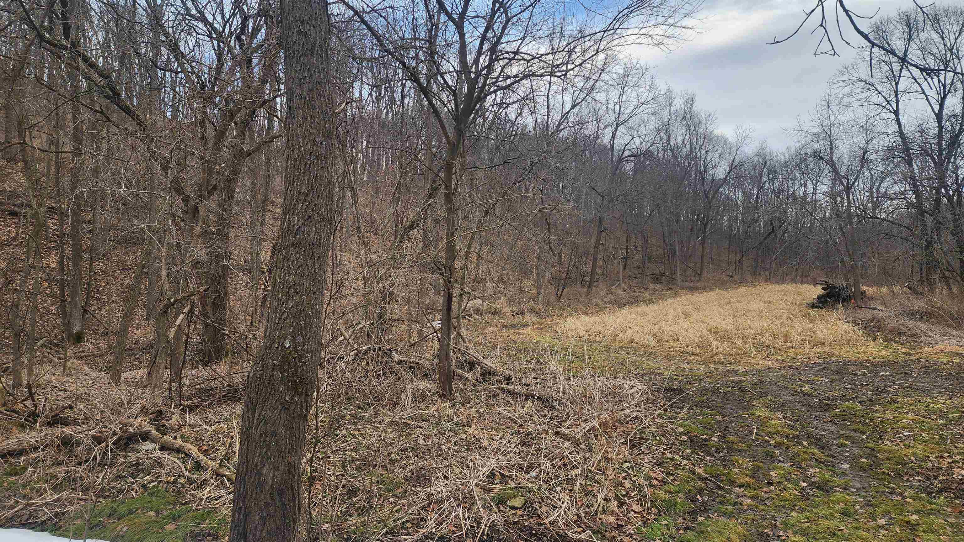 0 Vineyard Road Prairie du Chien, WI 53821 - Photo 8 of 49