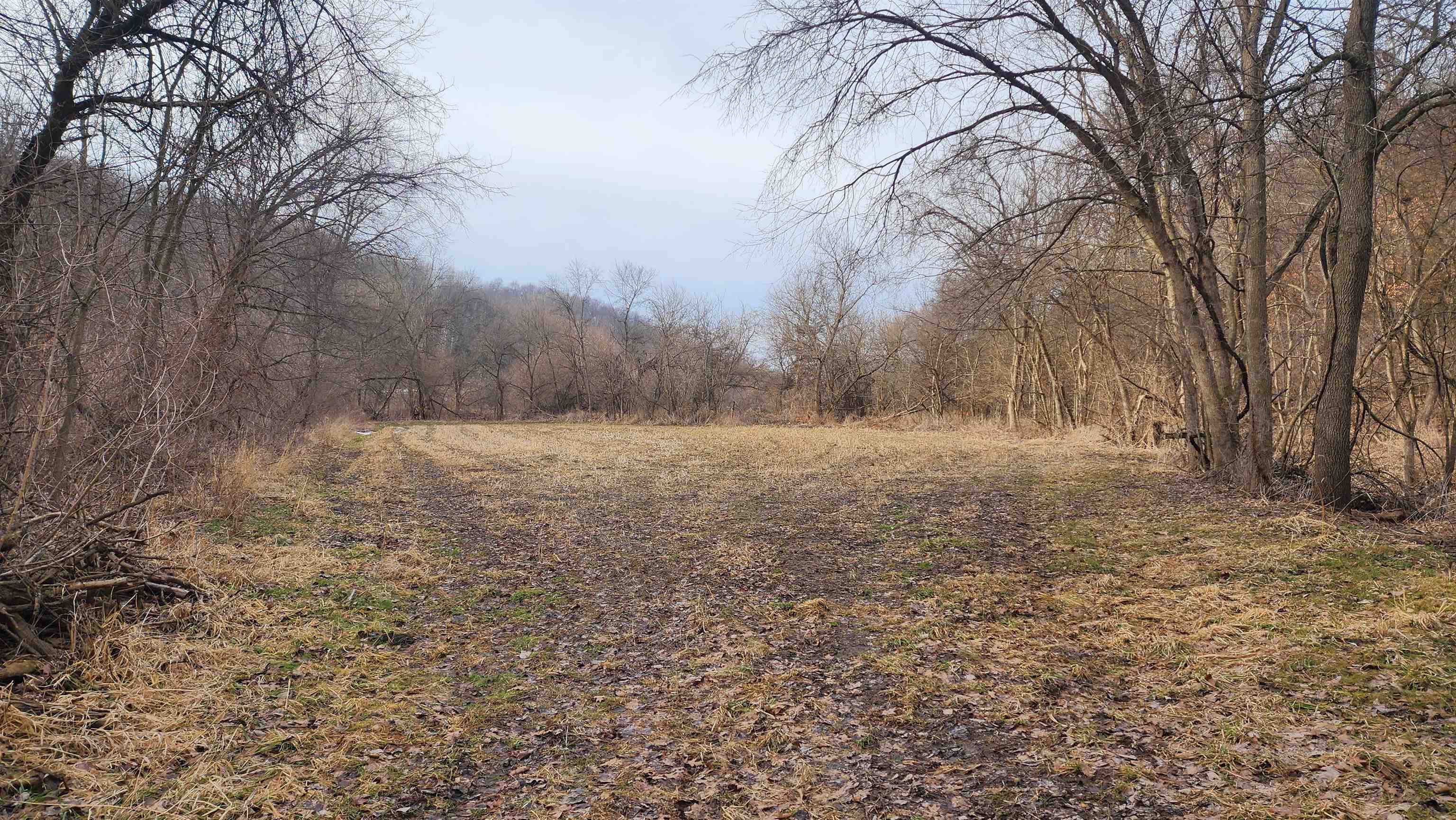 0 Vineyard Road Prairie du Chien, WI 53821 - Photo 10 of 49