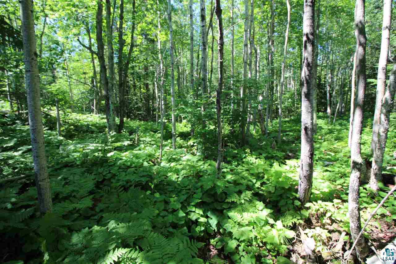 89-ccc Lot 3 Bark Point Road Herbster, WI 54844 - Photo 34 of 38 Gallery Image 34