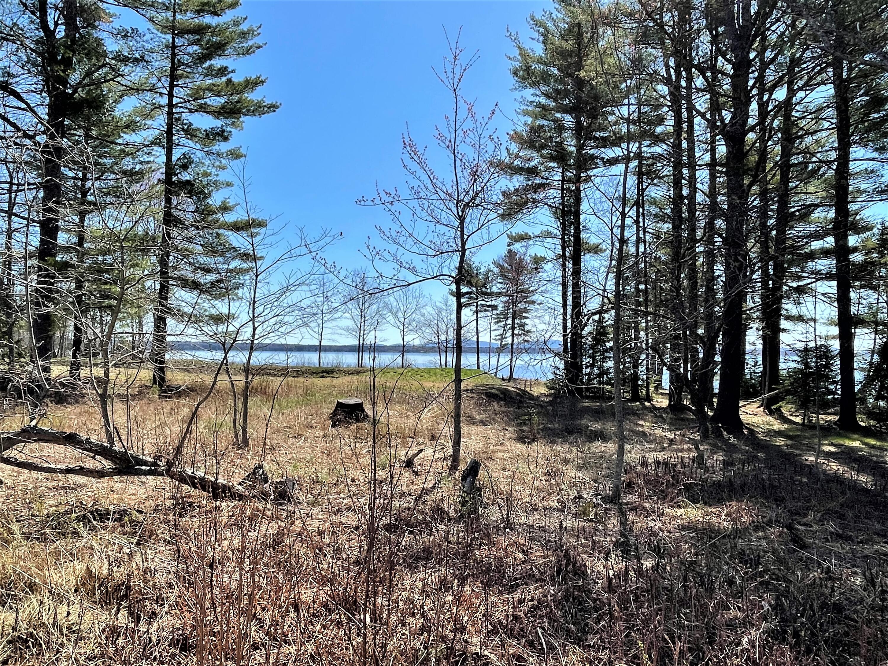972 Newbury Neck Road Surry, ME 04684 - Photo 10 of 31 lotP8