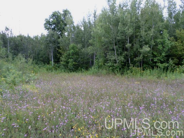 Tbd Valley Road Hurley, WI 54534 - Photo 4 of 6