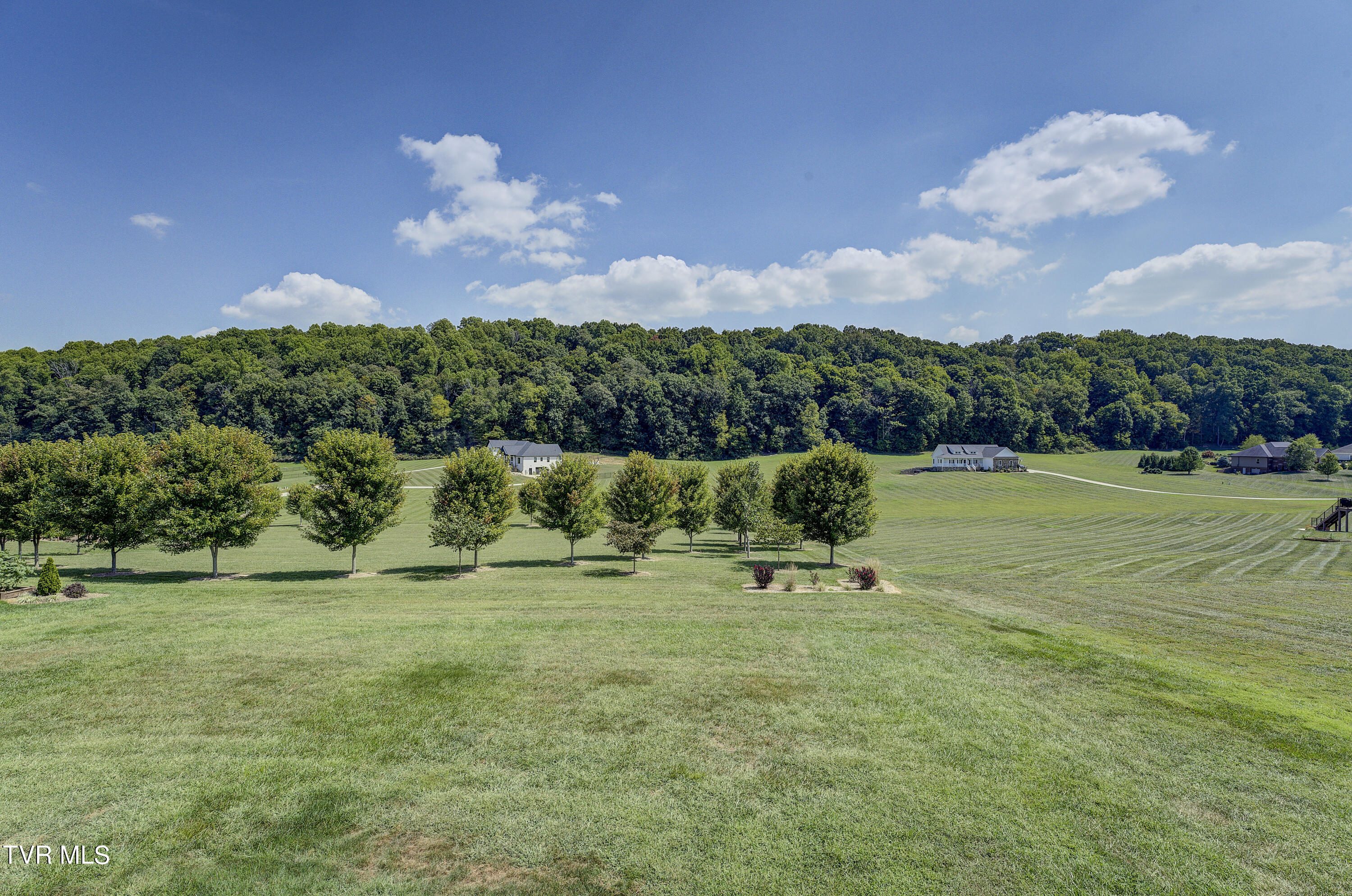 720 Hales Chapel Road Gray, TN 37615 - Photo 15 of 79 Backyard