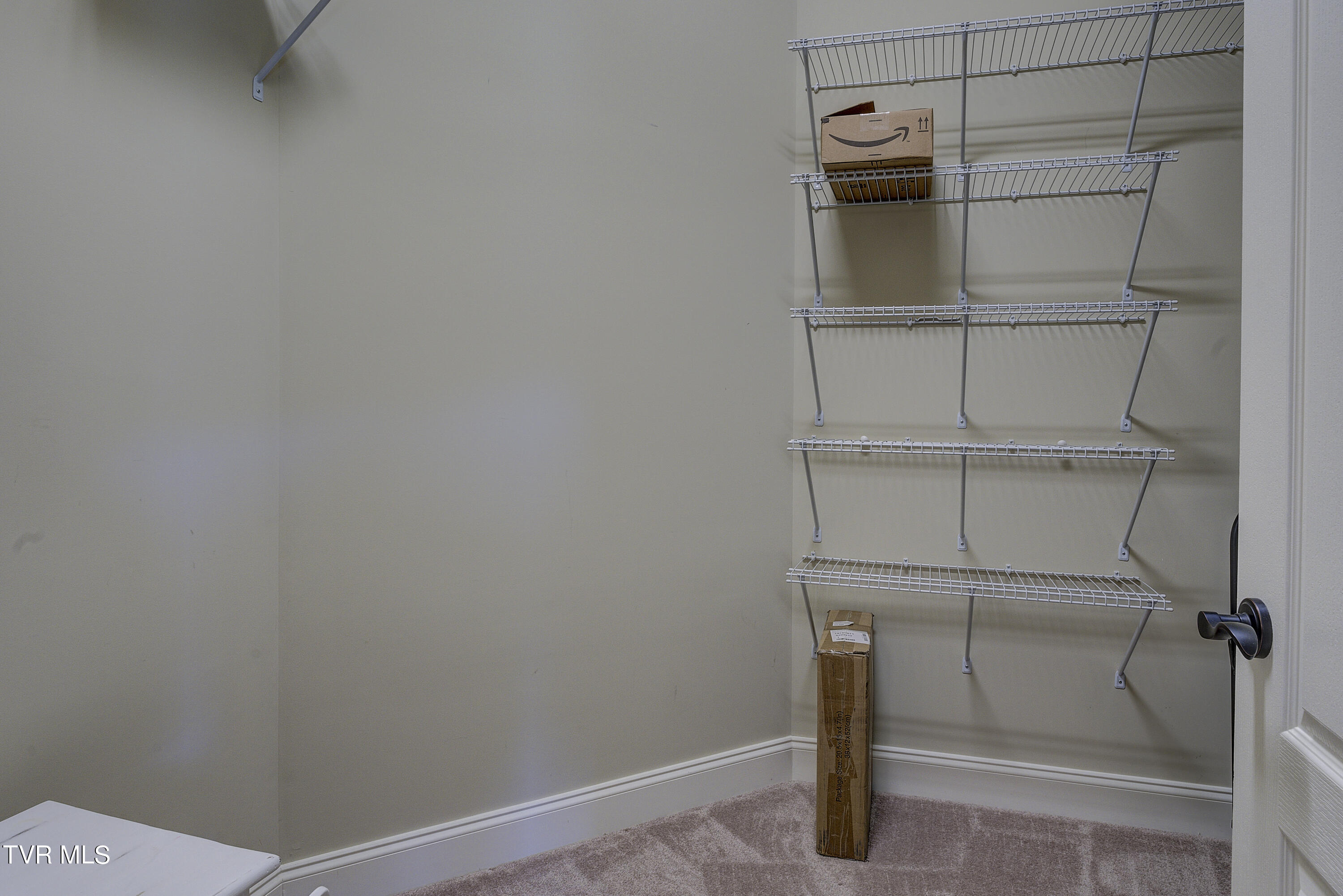 720 Hales Chapel Road Gray, TN 37615 - Photo 71 of 79 Basement bedroom walk in closet