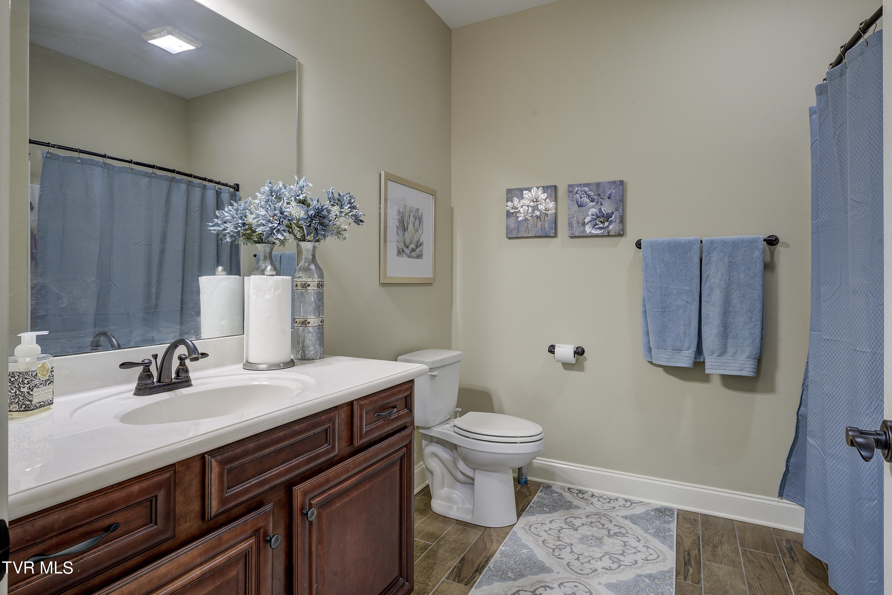 720 Hales Chapel Road Gray, TN 37615 - Photo 72 of 79 Basement full bath