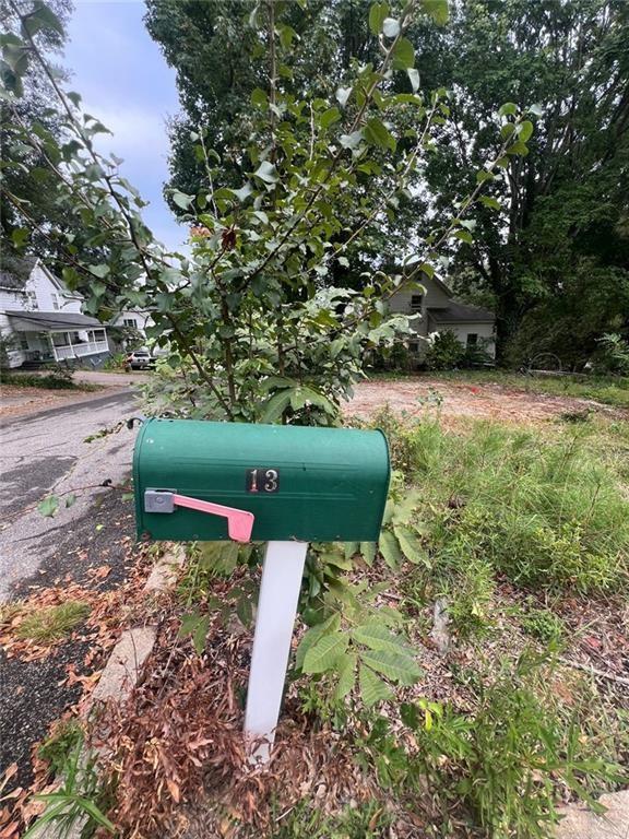 a view of a garden with plants and large trees
