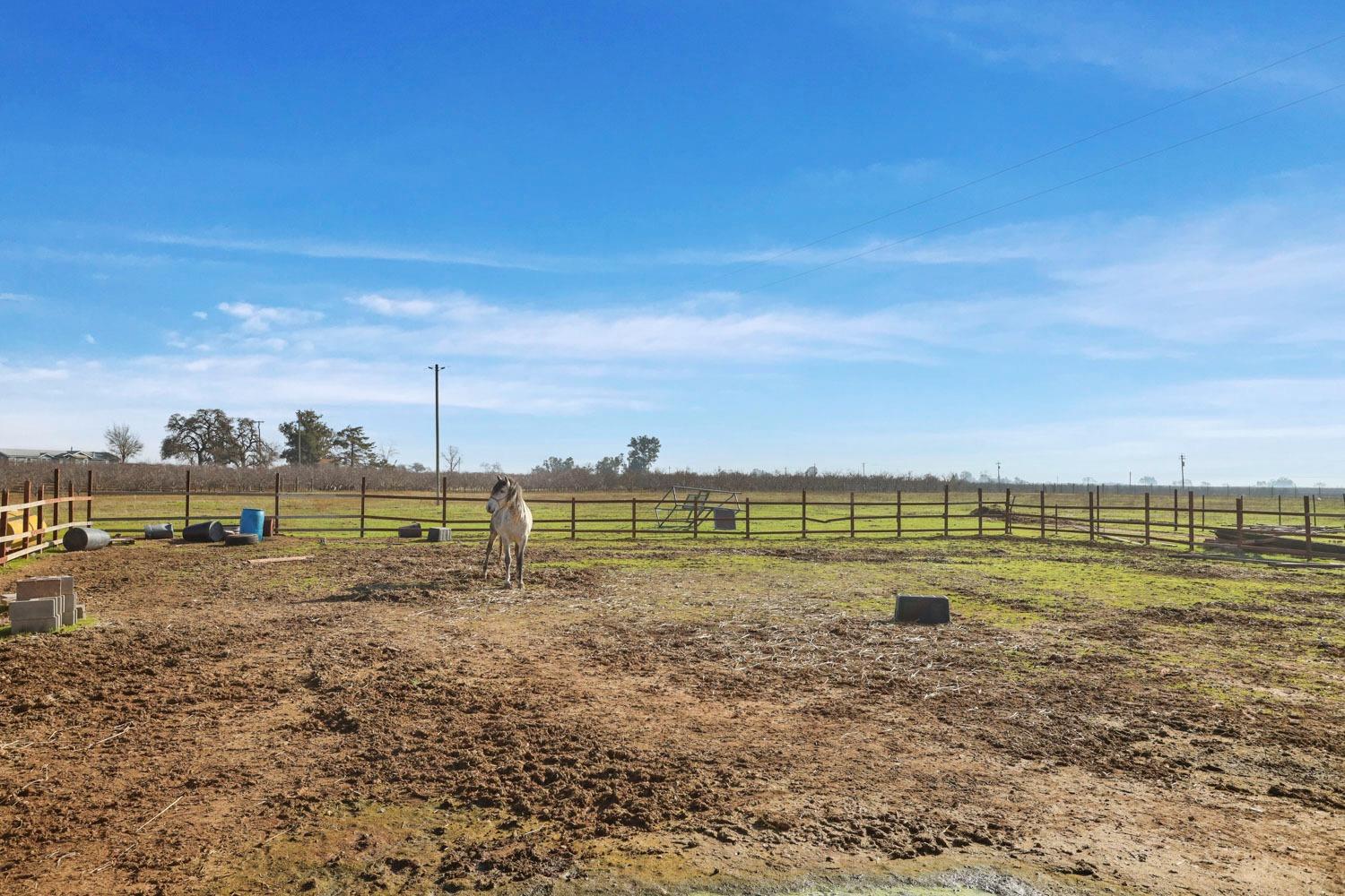 18370 Atkins Road Lodi, CA 95240 - Photo 51 of 59