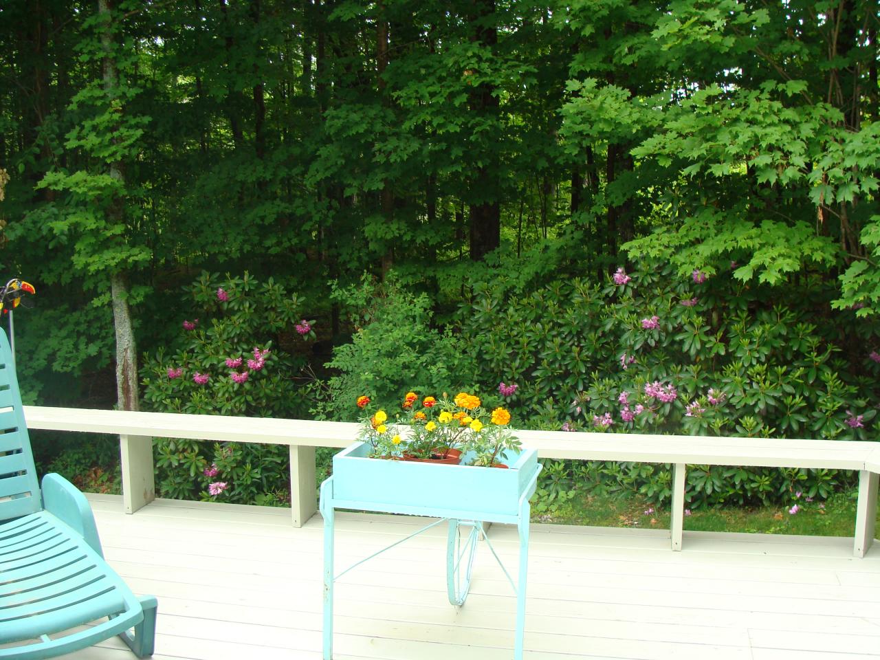 323 West Mountain Road Lenox, MA 01240 - Photo 21 of 23 Wood view