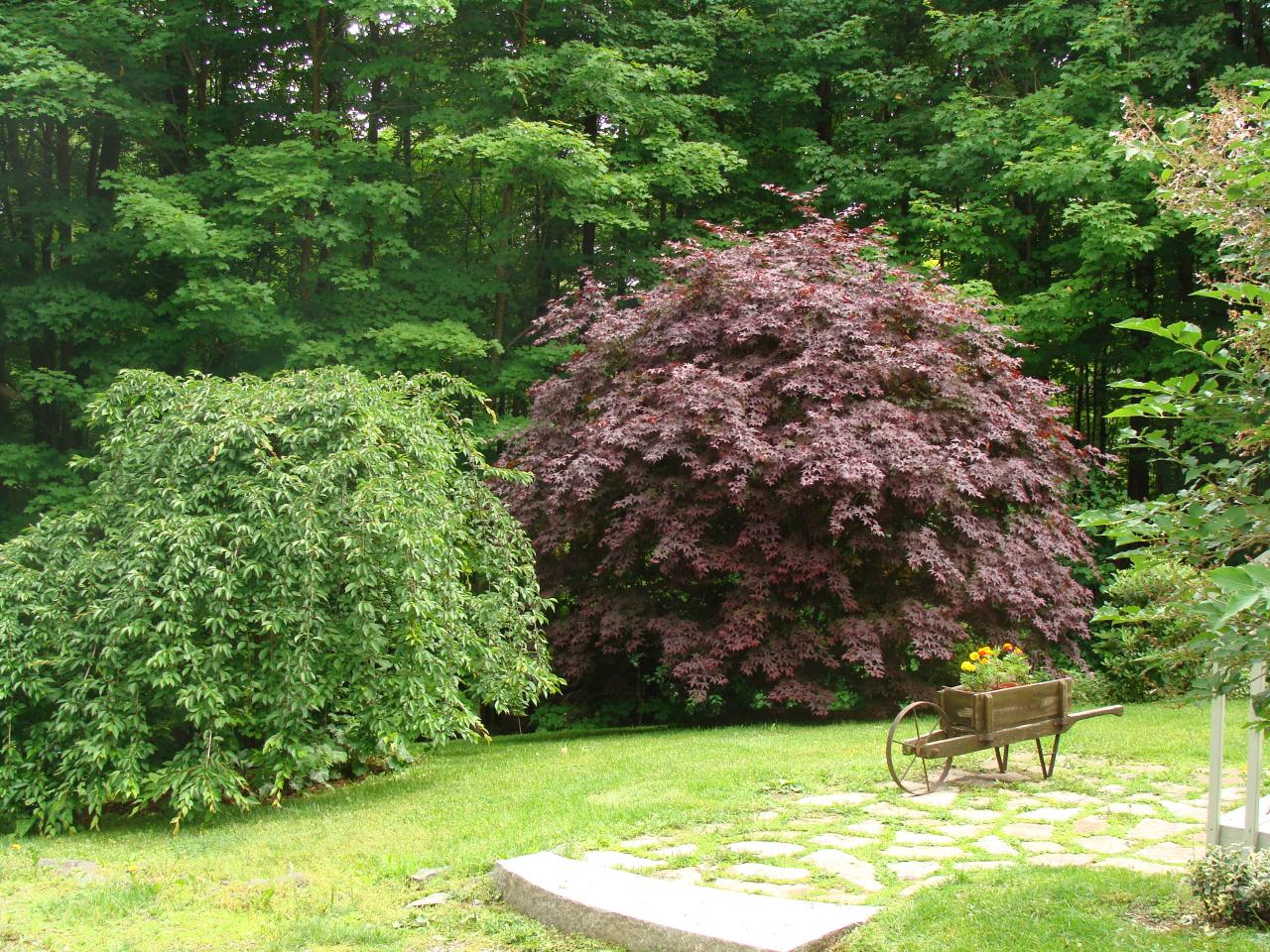 323 West Mountain Road Lenox, MA 01240 - Photo 23 of 23 Front yard