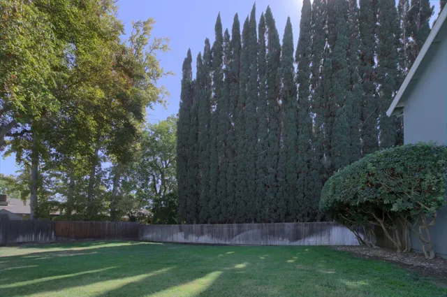 a view of backyard and porch