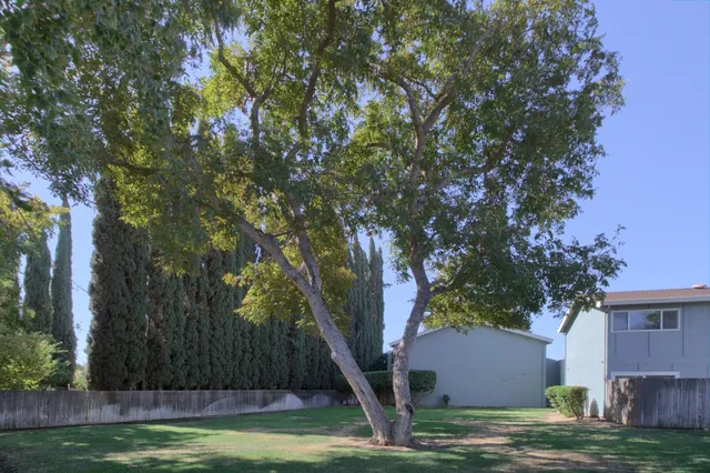 a view of a backyard