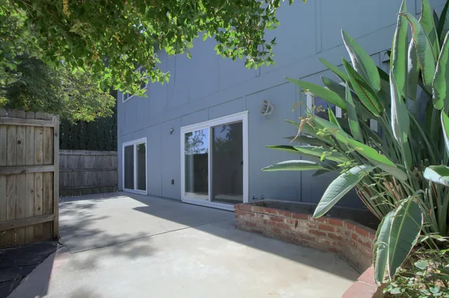 a potted plant sitting in front of a house