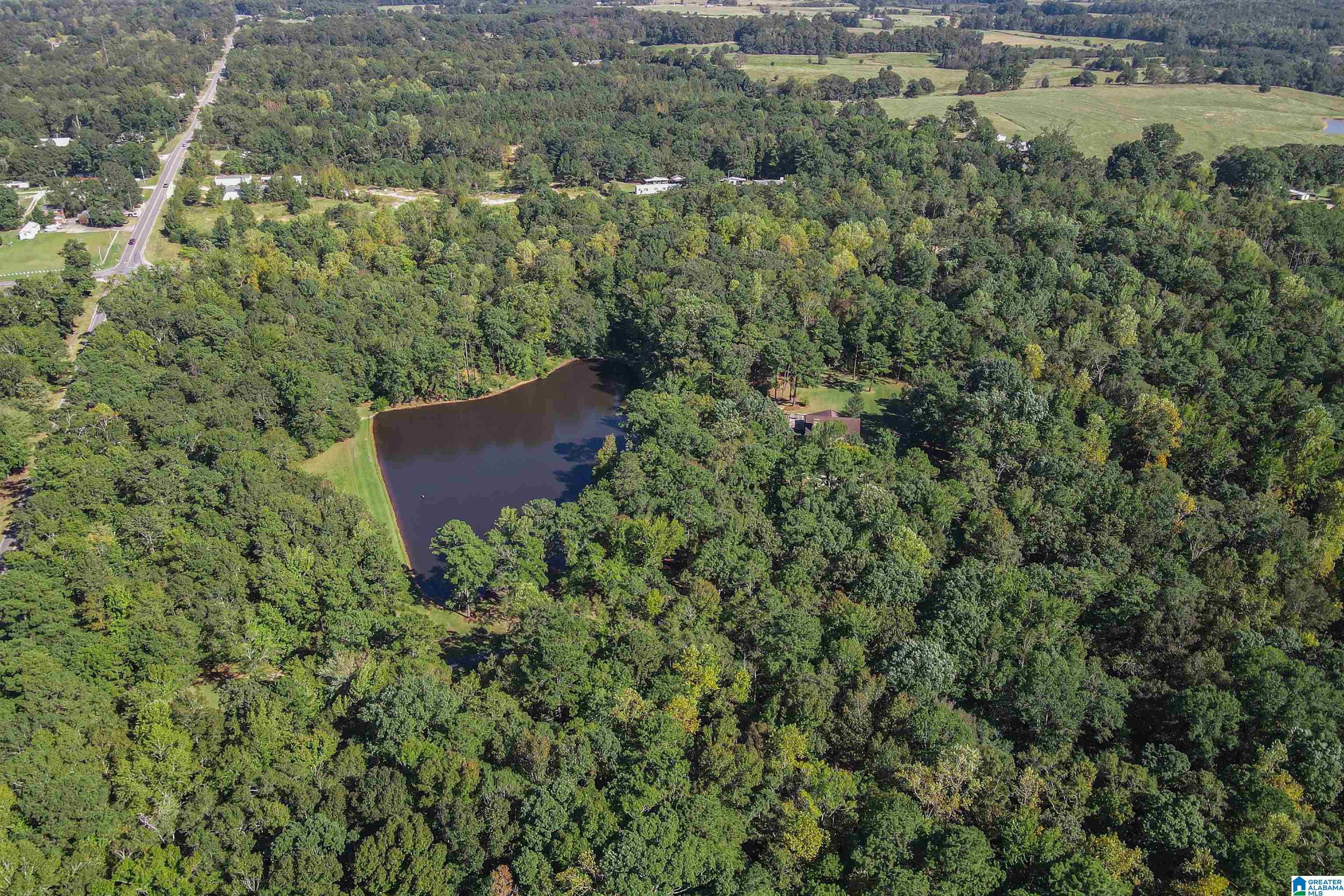 20110 Highway 22 Clanton, AL 35045 - Photo 25 of 49