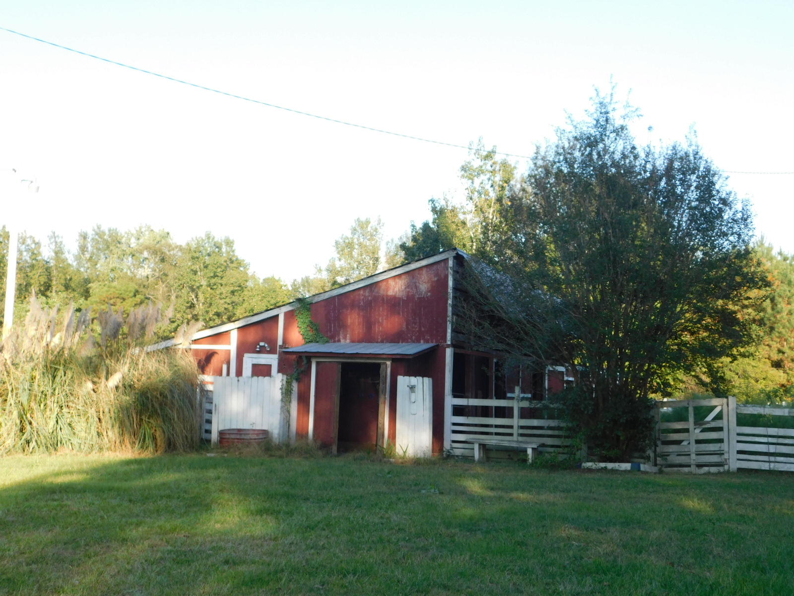 3610 Mt Carmel Road Walterboro, SC 29488 - Photo 18 of 21 DSCN9425