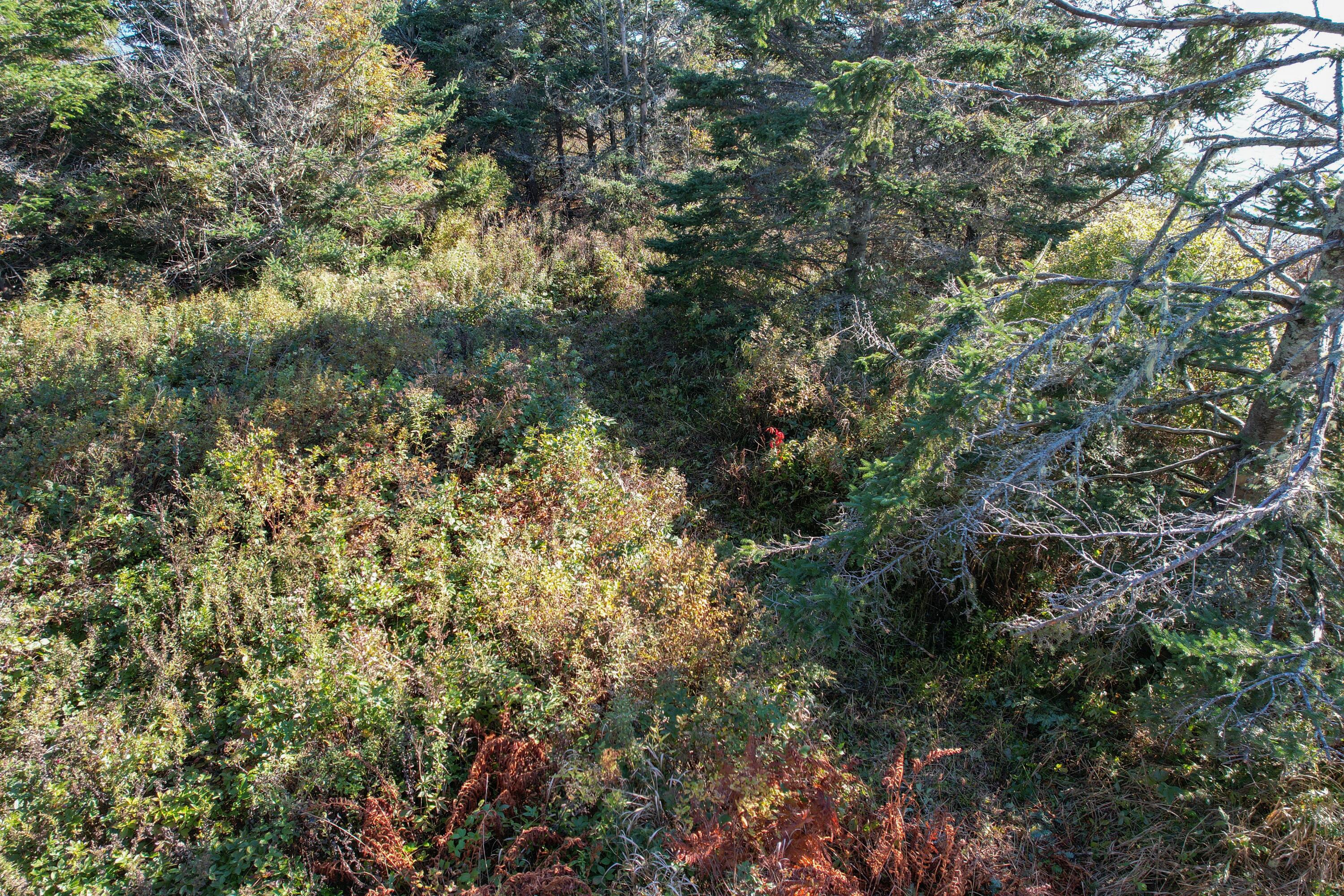 44 Rabbit Road Jonesport, ME 04649 - Photo 24 of 52 44 Rabbit Road