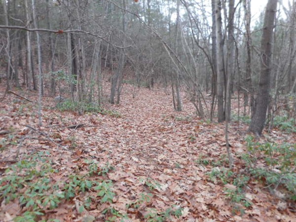 Lot 1 Carrington Road Westfield, MA 01085 - Photo 3 of 4 Gallery Image 3