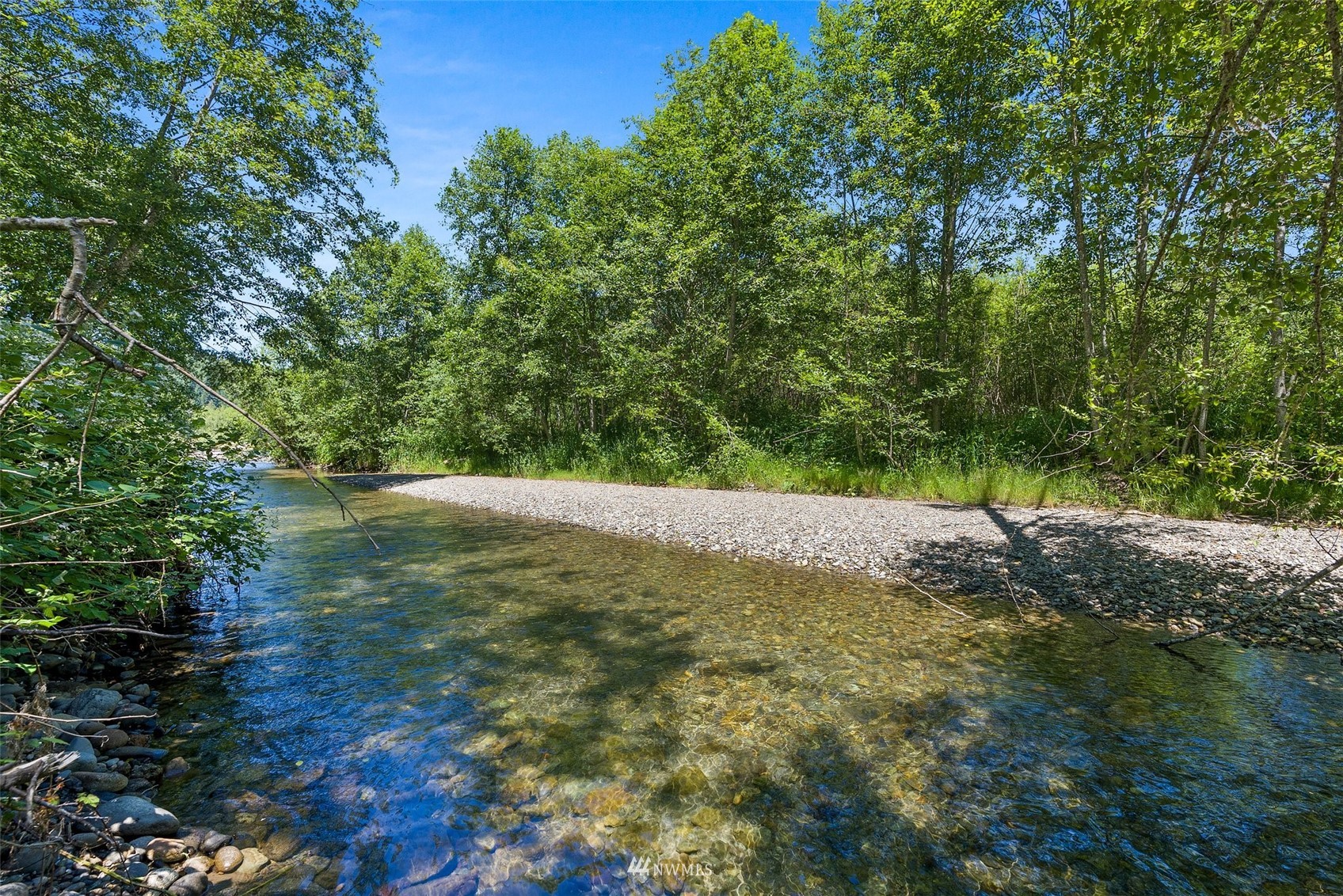 2158 Cispus Road Randle, WA 98377 - Photo 33 of 36 a view of a yard with a tree