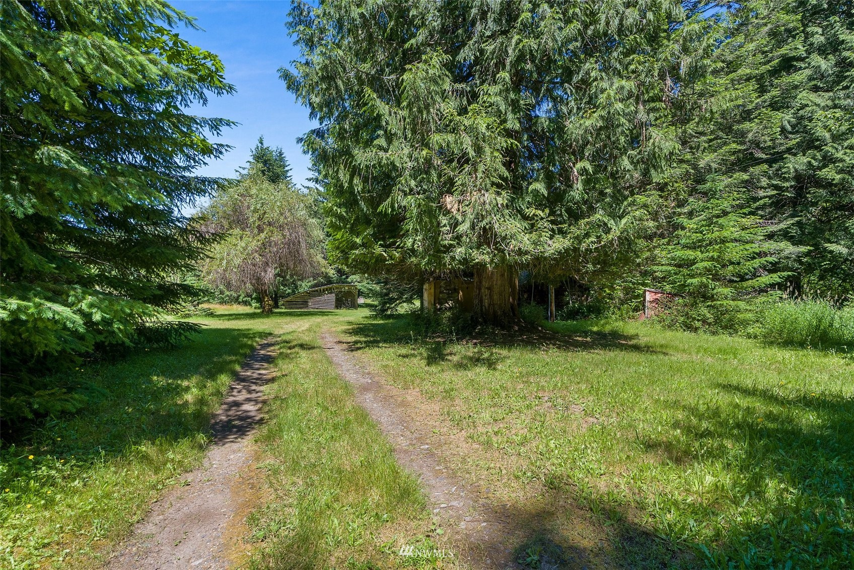 2158 Cispus Road Randle, WA 98377 - Photo 35 of 36 a backyard of a house with lots of green space