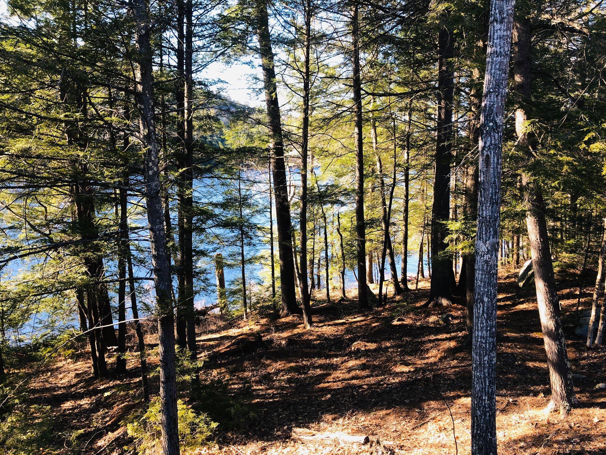 726 Sandy River Road Kents Hill, ME 04349 - Photo 9 of 69 Waterfront