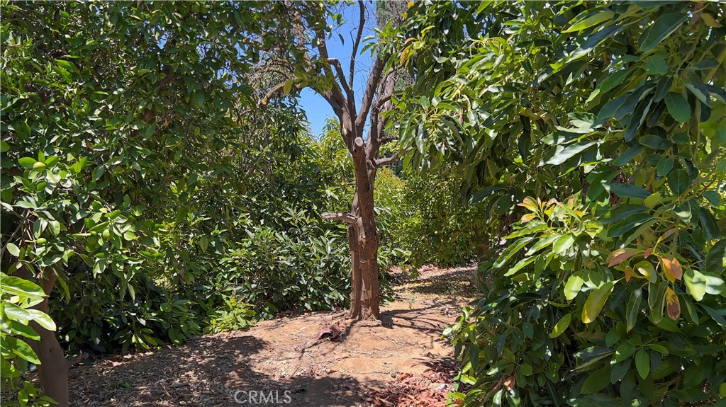 8715 Dufferin Avenue Riverside, CA 92504 - Photo 36 of 46 Gallery Image 36