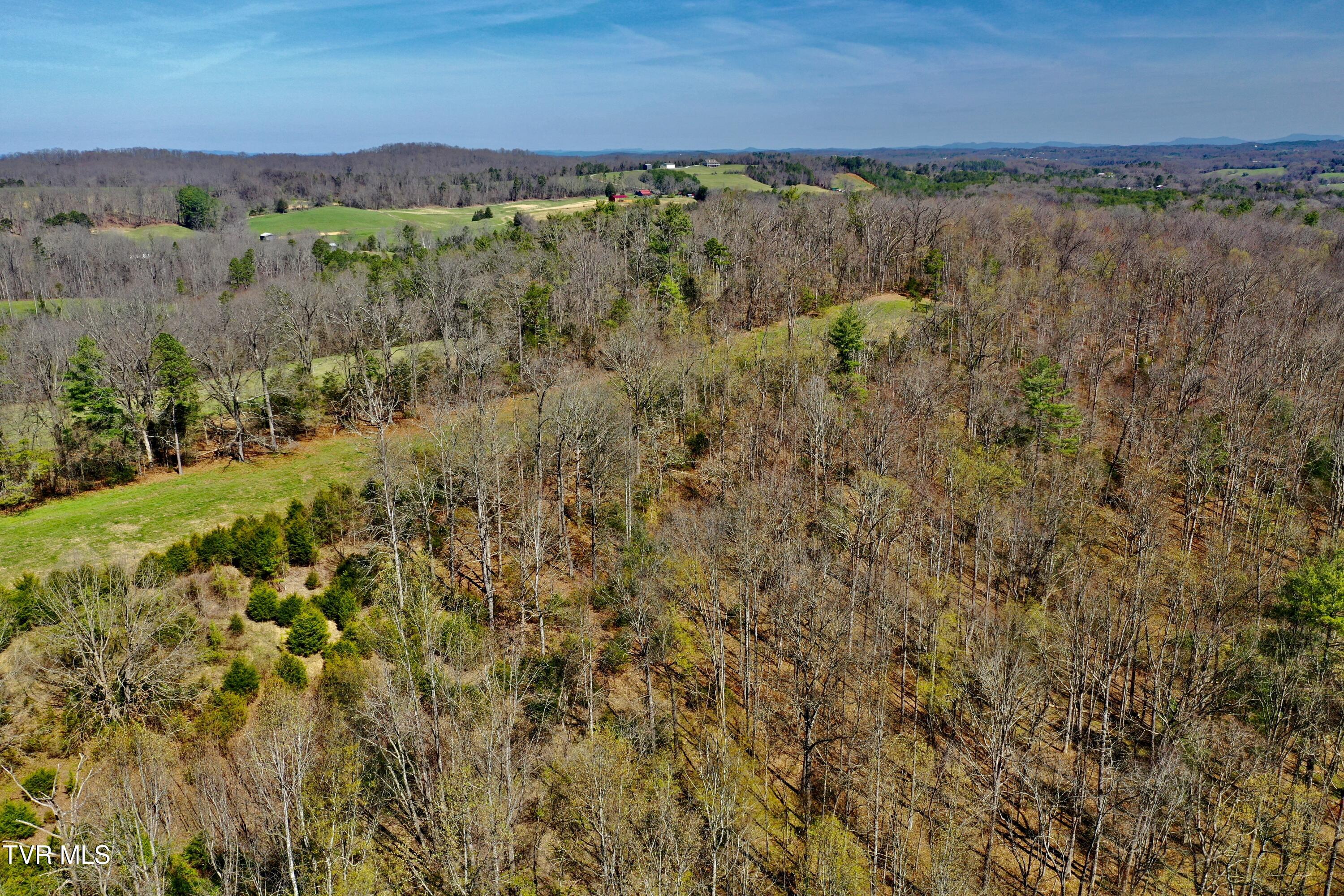 6181 Poplar Springs Road Greeneville, TN 37743 - Photo 99 of 103 IMG_6925
