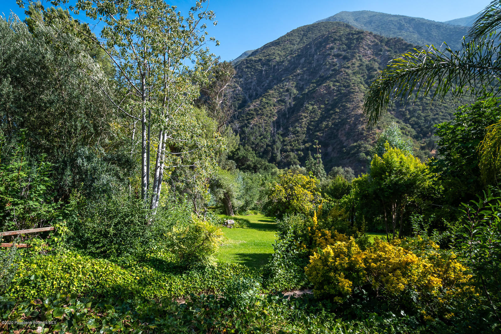 2311 Stonyvale Road Tujunga, CA 91042 - Photo 4 of 83 Grounds