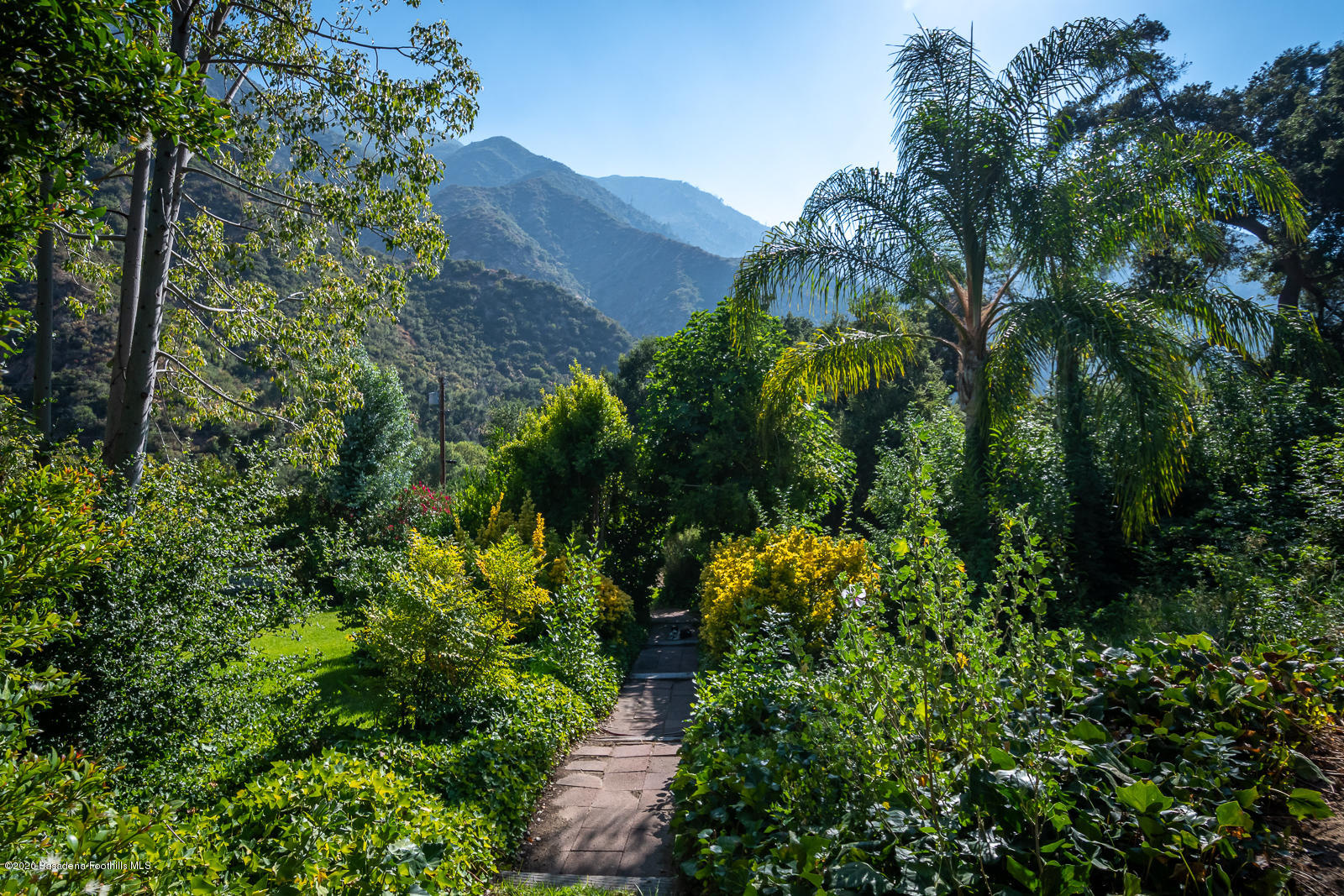 2311 Stonyvale Road Tujunga, CA 91042 - Photo 5 of 83 a view of a plant in a garden