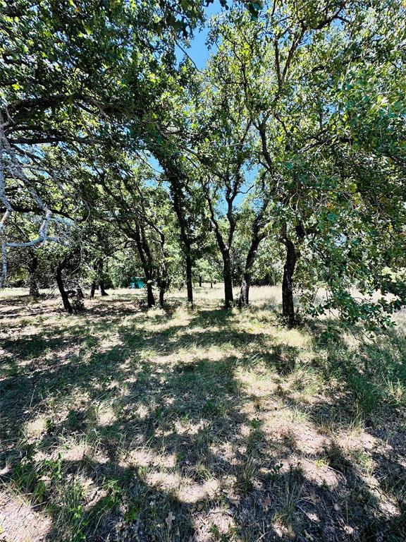1020 Pleasant Valley Road May, TX 76857 - Photo 7 of 40 Gallery Image 7