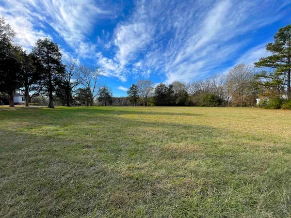 a view of a field with an trees