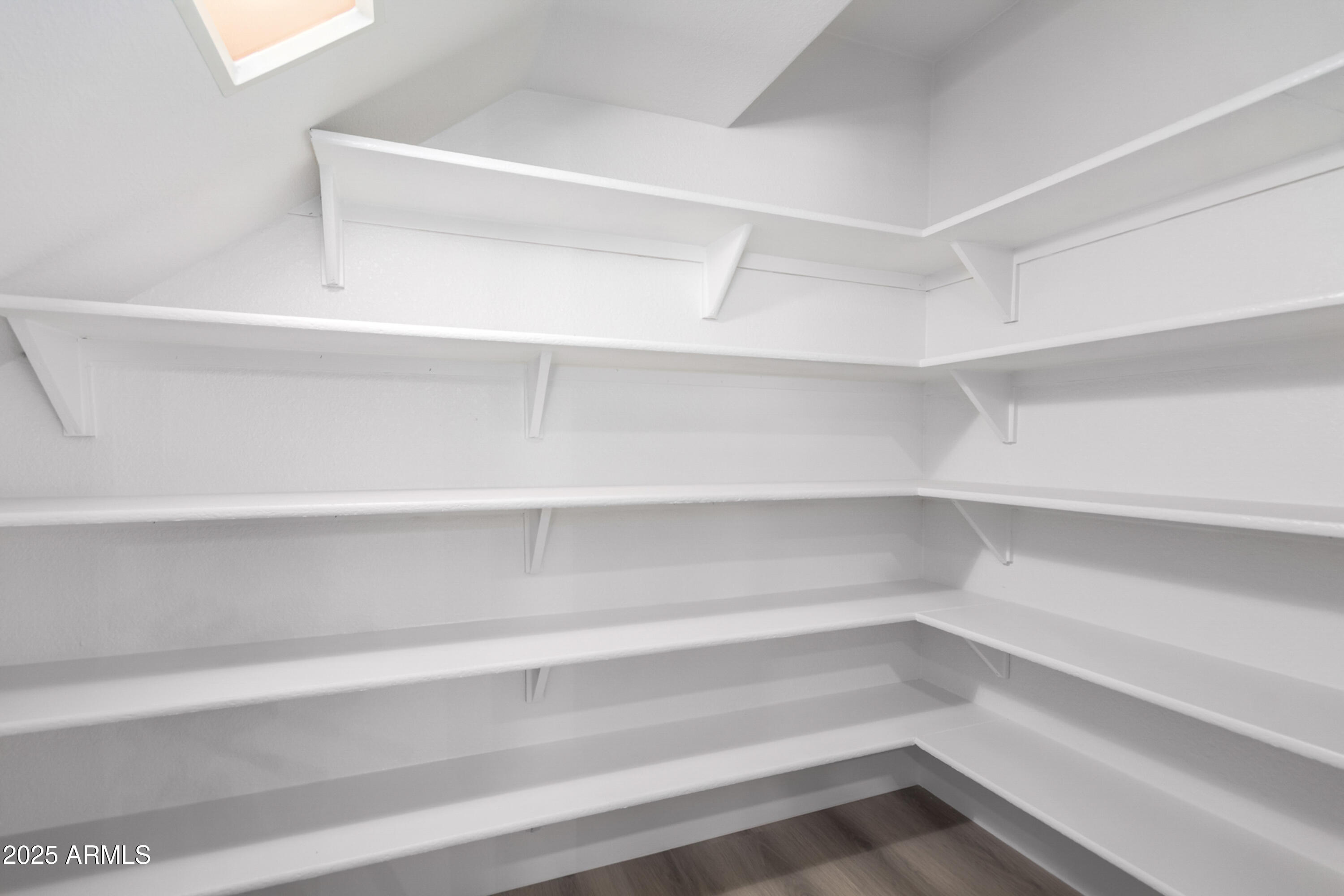 1630 South Lemon Mesa, AZ 85206 - Photo 13 of 55 a view of walk in closet with empty racks