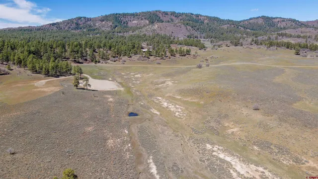 a view of outdoor space with green space
