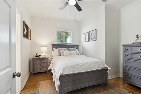 a kitchen with a potted plant on the counter and cabinets