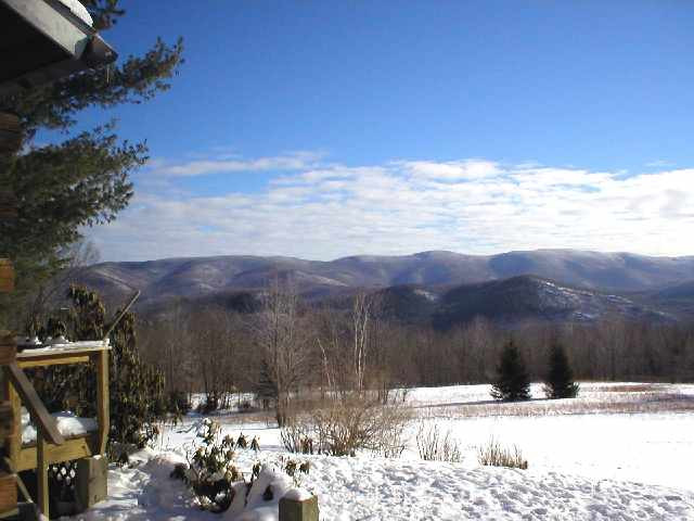 122 Puckertoot Road Petersburgh, NY 12138 - Photo 3 of 10 Photo 3