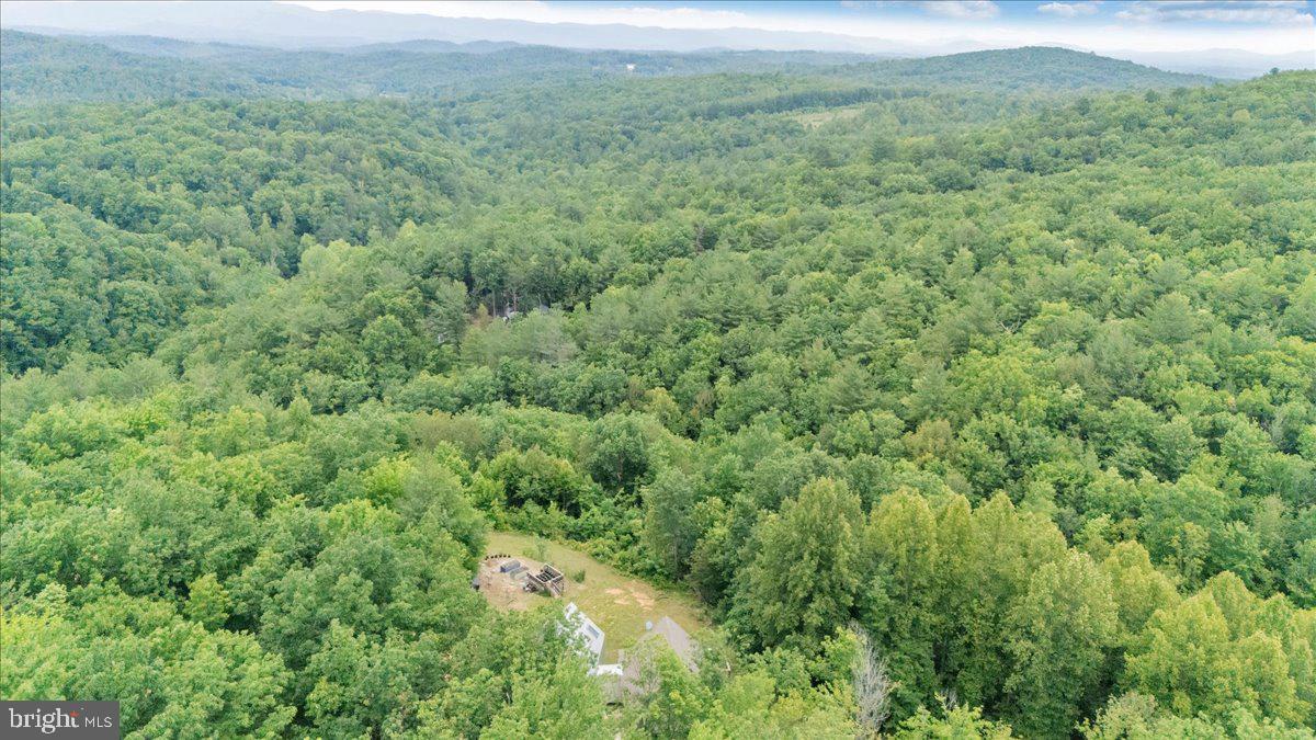 722 Foley Ridge Road Stuart, VA 24171 - Photo 67 of 67 Serene retreat in lush greenery.