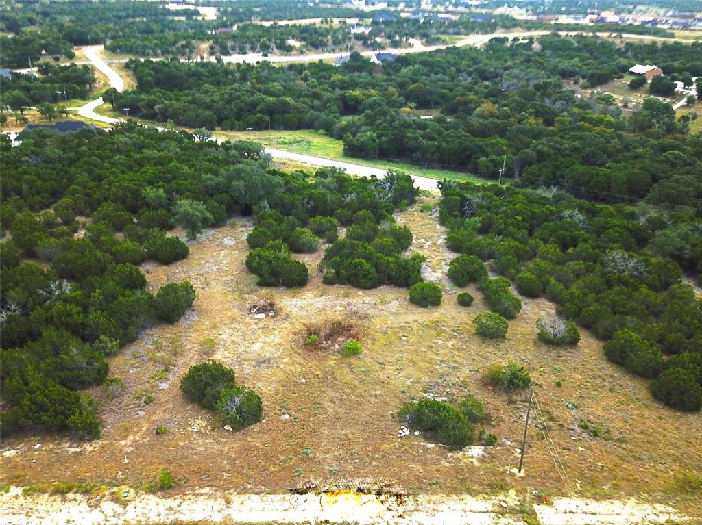 a view of a yard with trees