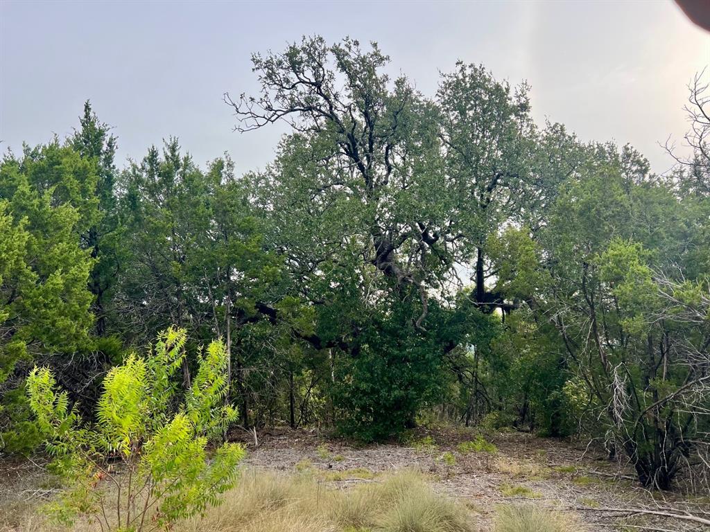 1096 Creek Crossing Road Nemo, TX 76070 - Photo 12 of 16 a backyard of a house with lots of green space