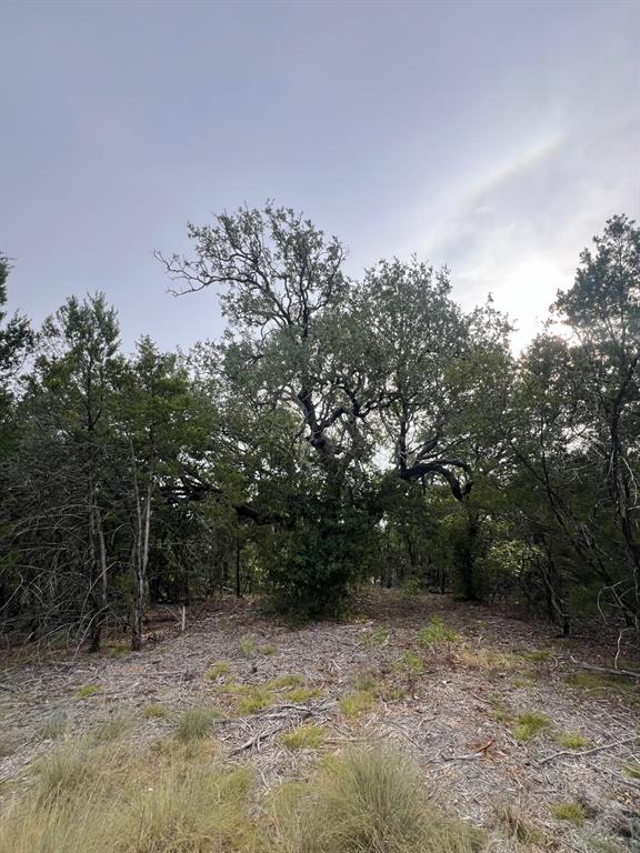 1096 Creek Crossing Road Nemo, TX 76070 - Photo 13 of 16 a backyard of a house with lots of trees