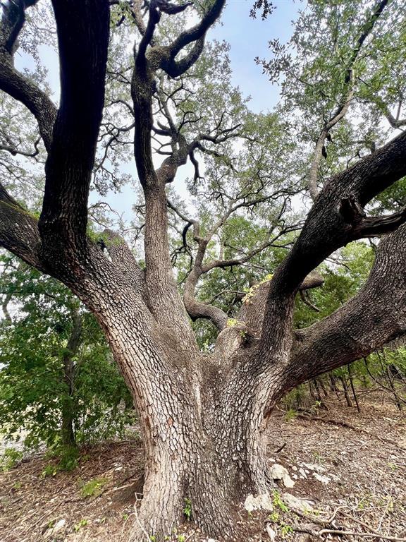 1096 Creek Crossing Road Nemo, TX 76070 - Photo 15 of 16