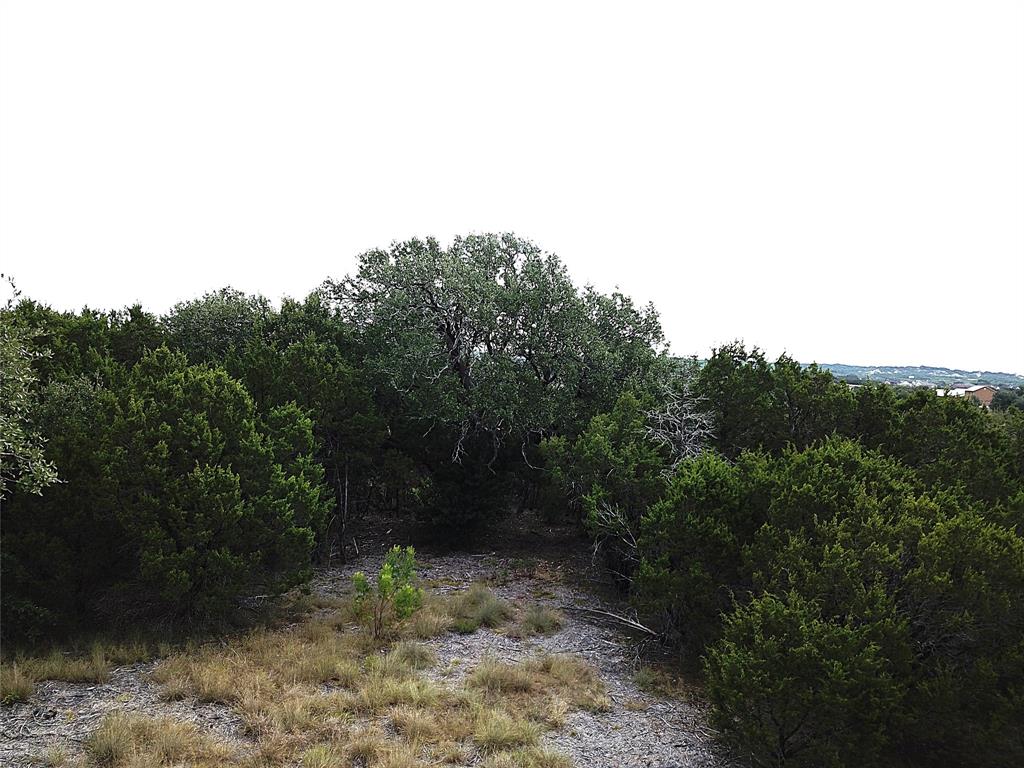 1096 Creek Crossing Road Nemo, TX 76070 - Photo 7 of 16