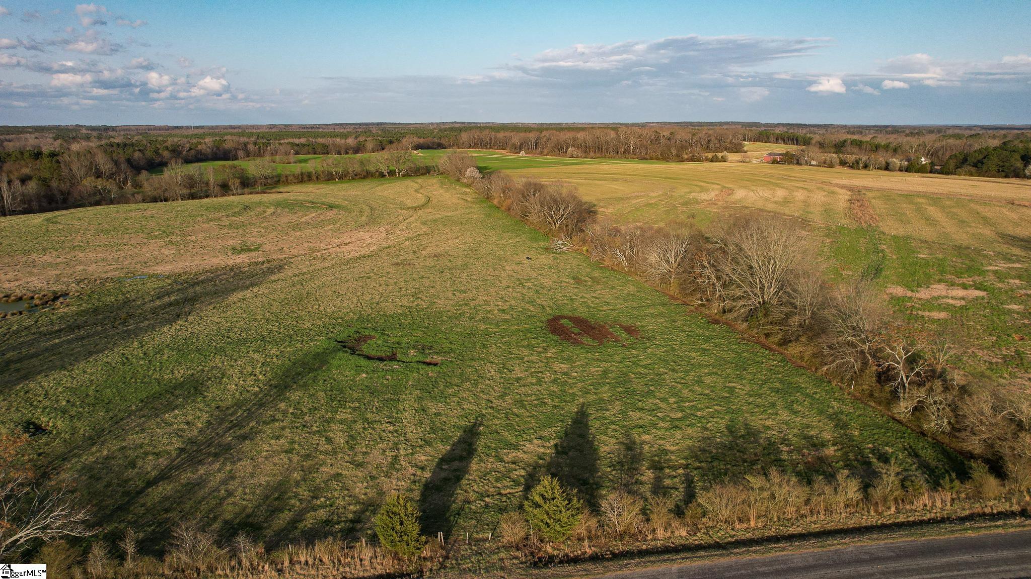 22 Hobby Lane Kinards, SC 29355 - Photo 14 of 15