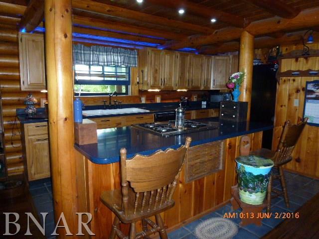 19453 Rainbow Road Weldon, IL 61882 - Photo 8 of 29
