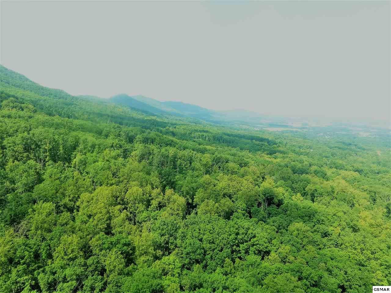 0 Collier Loop Dandridge, TN 37725 - Photo 6 of 35 Gallery Image 6