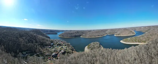 a view of a yard with lots of bushes