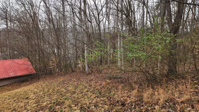 a view of small space with wooden fence