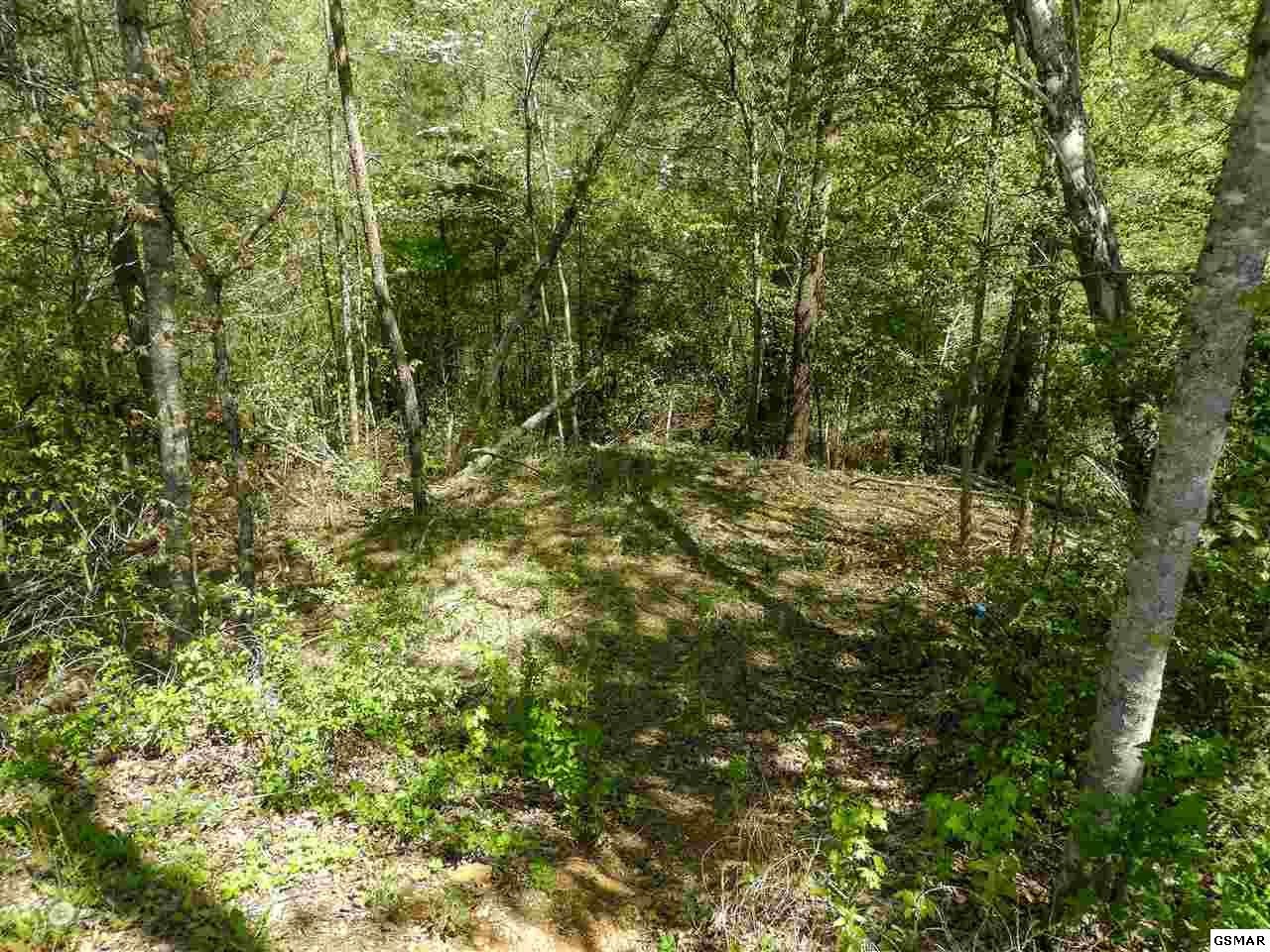 7 Old Birds Creek Road Sevierville, TN 37876 - Photo 7 of 15