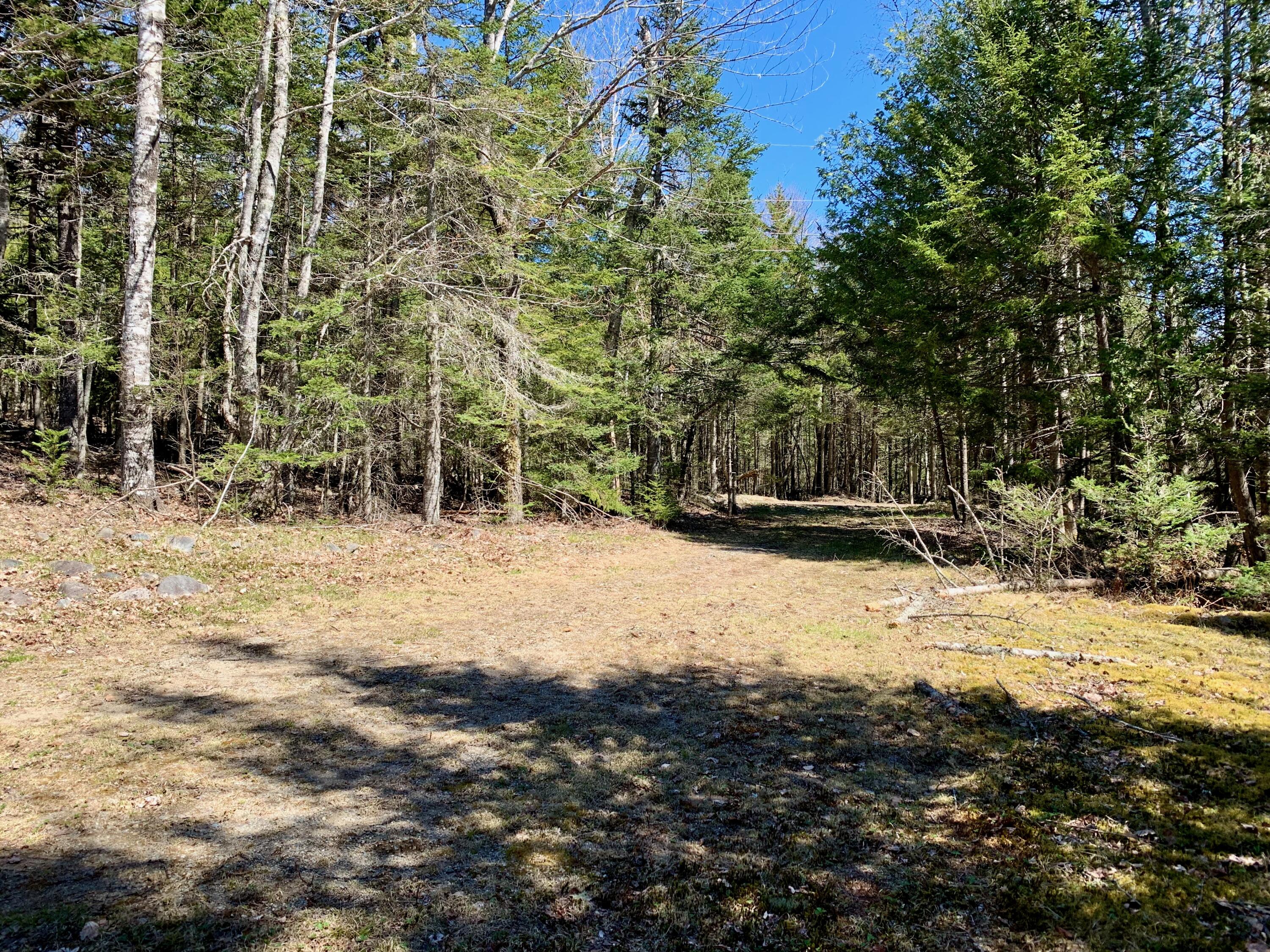 60 High Head Road East Machias, ME 04630 - Photo 12 of 45 IMG_8782
