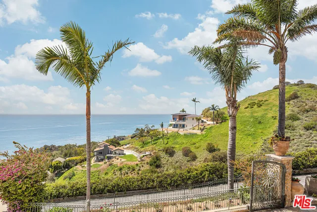a view of a palm tree next to a yard