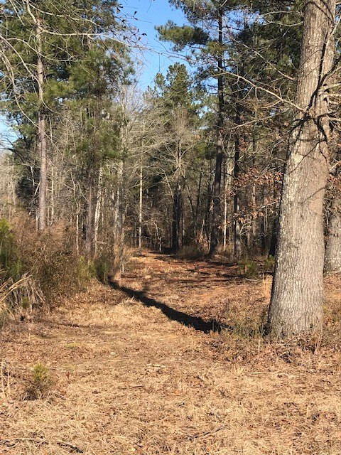 1 D Angela Road Wagener, SC 29164 - Photo 9 of 14